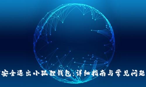 如何安全退出小狐狸钱包：详细指南与常见问题解答
