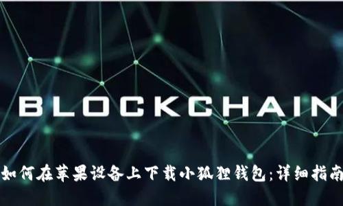 如何在苹果设备上下载小狐狸钱包：详细指南