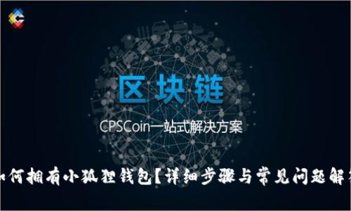 如何拥有小狐狸钱包？详细步骤与常见问题解答