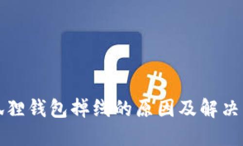 小狐狸钱包掉线的原因及解决方法