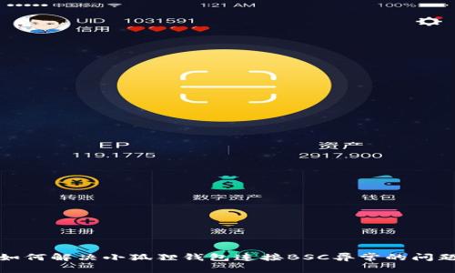 如何解决小狐狸钱包连接BSC异常的问题