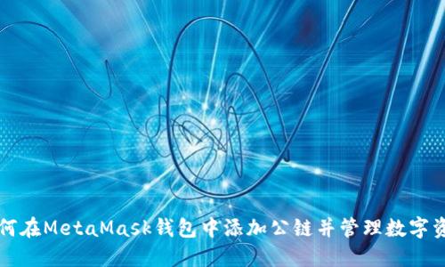 如何在MetaMask钱包中添加公链并管理数字资产