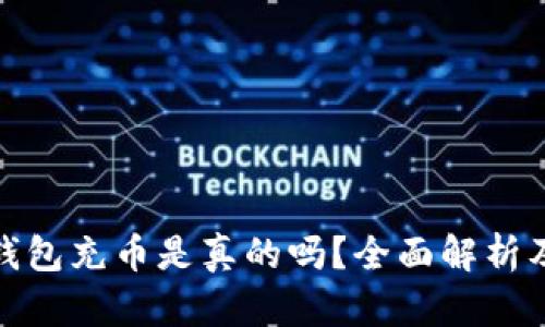 : 小狐狸钱包充币是真的吗？全面解析及使用指南