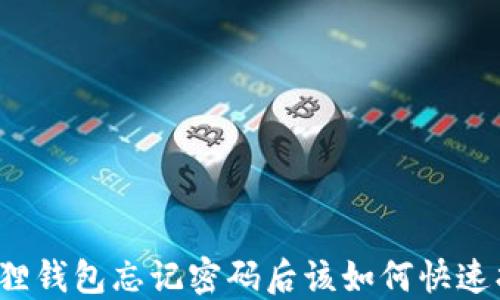 
小狐狸钱包忘记密码后该如何快速找回？