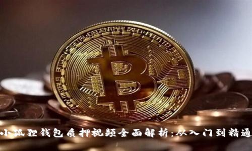 小狐狸钱包质押视频全面解析：从入门到精通