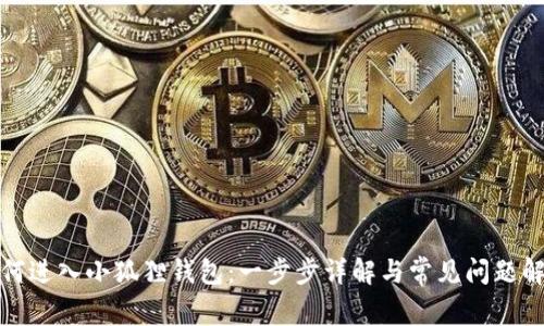 如何进入小狐狸钱包：一步步详解与常见问题解答