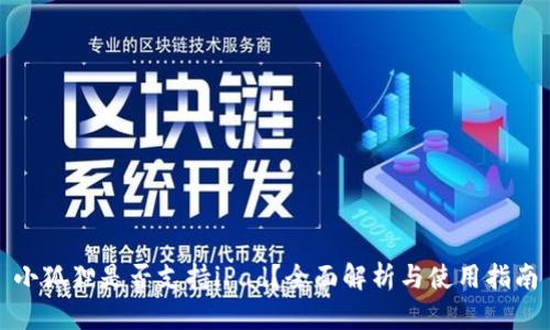 小狐狸是否支持iPad？全面解析与使用指南